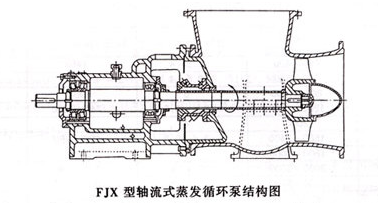 FJX蒸發(fā)強制循環(huán)泵