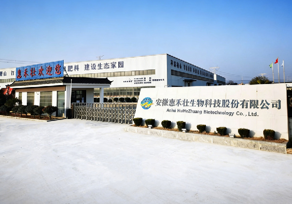 领导视察指导，共促企业发展