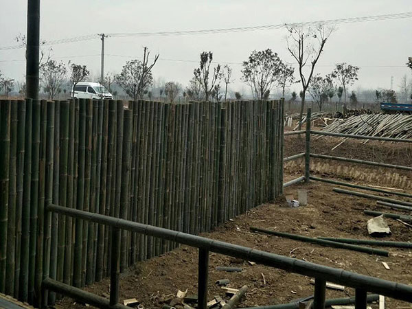 竹篱笆护栏