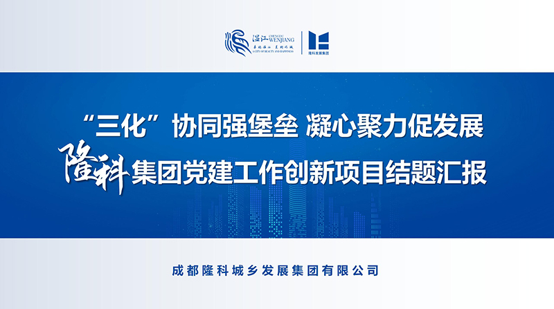 创新项目工作汇报
