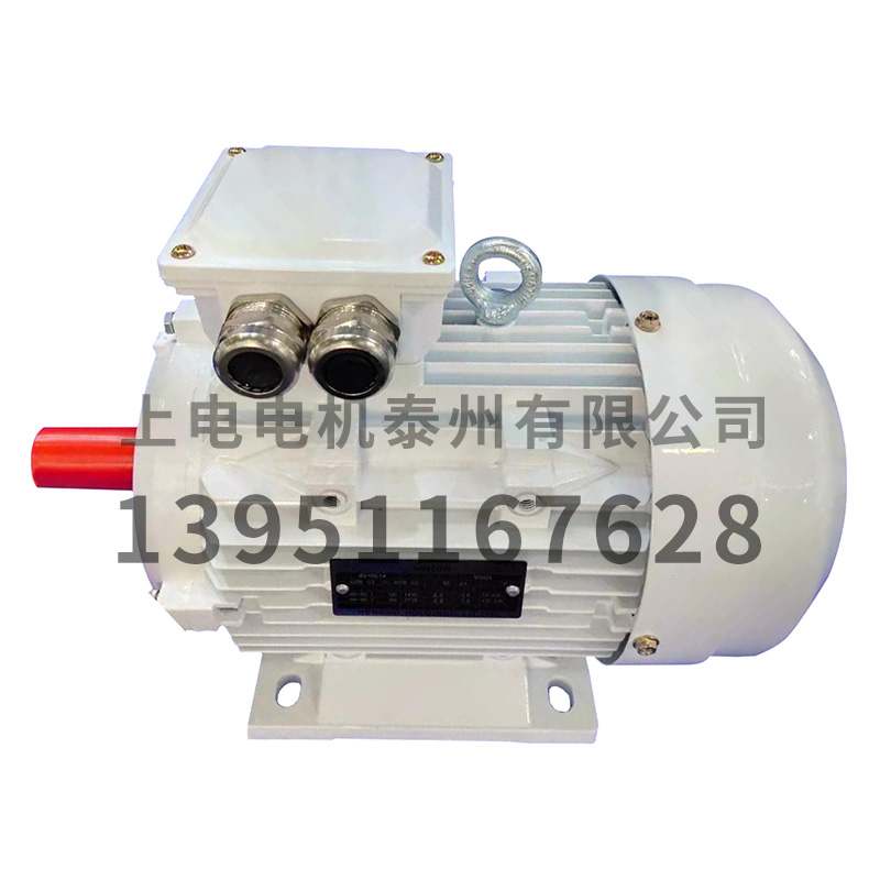 上海電氣電機(jī)