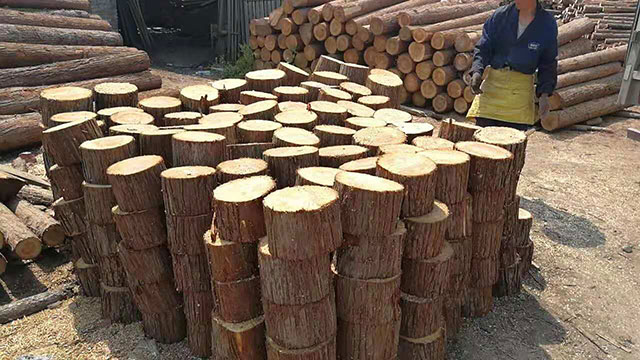 20公分生态木桩多少钱一根