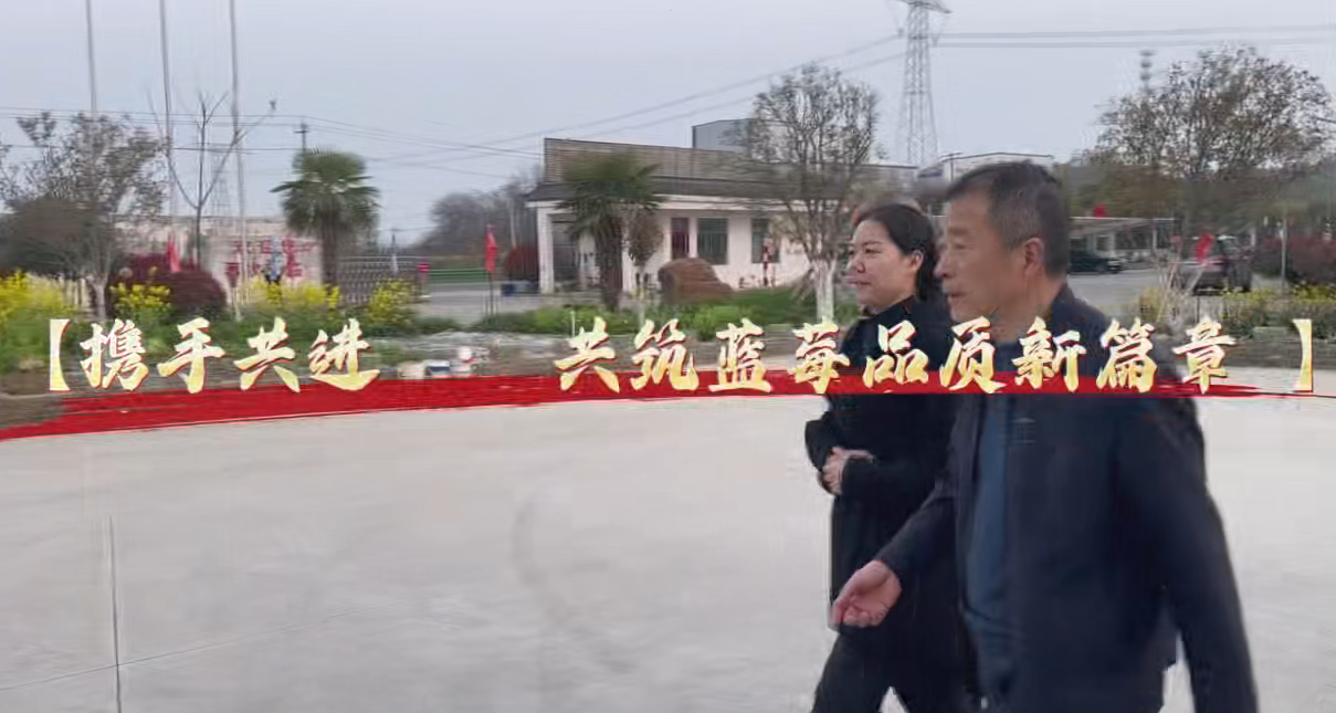 携手共进 · 共筑蓝莓品质新篇章