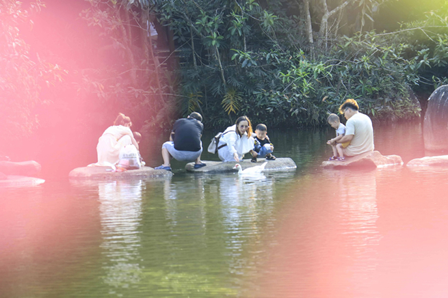 清明假期踏青出游，游客“解锁”海南呀诺达雨林春日新玩法