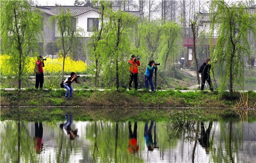 探访中国十大最美乡村——青杠树村