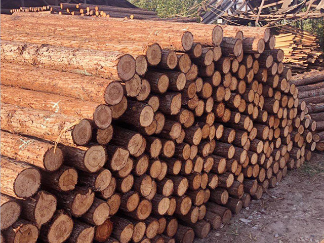 杉木樁的生產材料怎么選擇