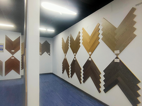 公司展示