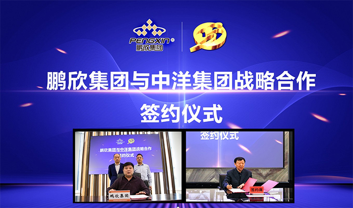 CQ9电子集团&鹏欣集团联袂 深度聚焦对虾产业