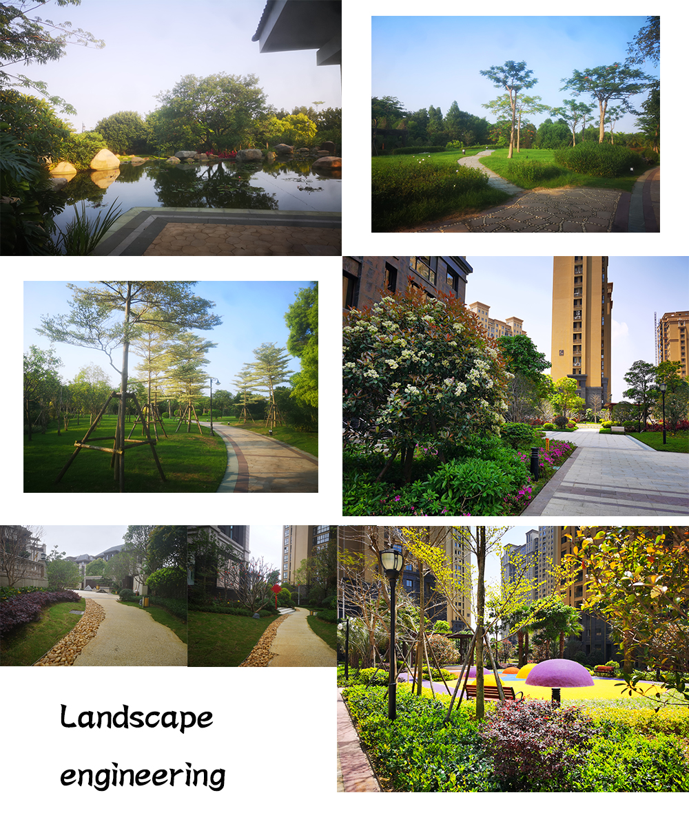 Landscape engineering