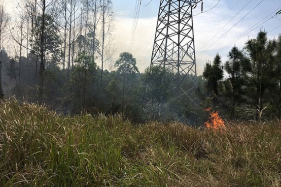 架空輸電線路山火監測裝置，讓線路山火險情不再是電網之殤