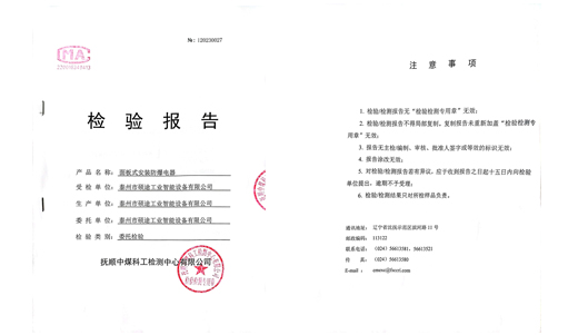 Inspection report for panel mounted explosion-proof electrical appliances