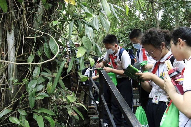 笃行少年探秘雨林，三亚市第九小学六年级呀诺达研学之旅圆满结束