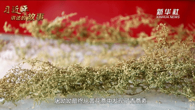 講述的故事｜“把脈”中醫(yī)藥