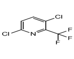 3,6-DICHLORO-2-(TRIFLUOROMETHYL)PYRIDINE