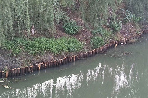 河道木桩
