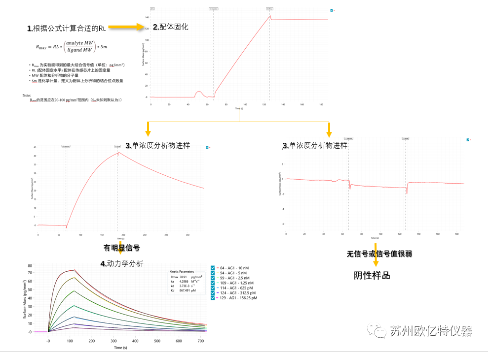 GCI,SPR,BLI動力學檢測真實案例分享