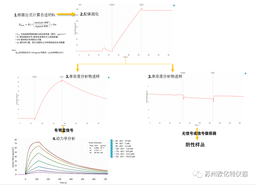 GCI,SPR,BLI动力学检测真实案例分享