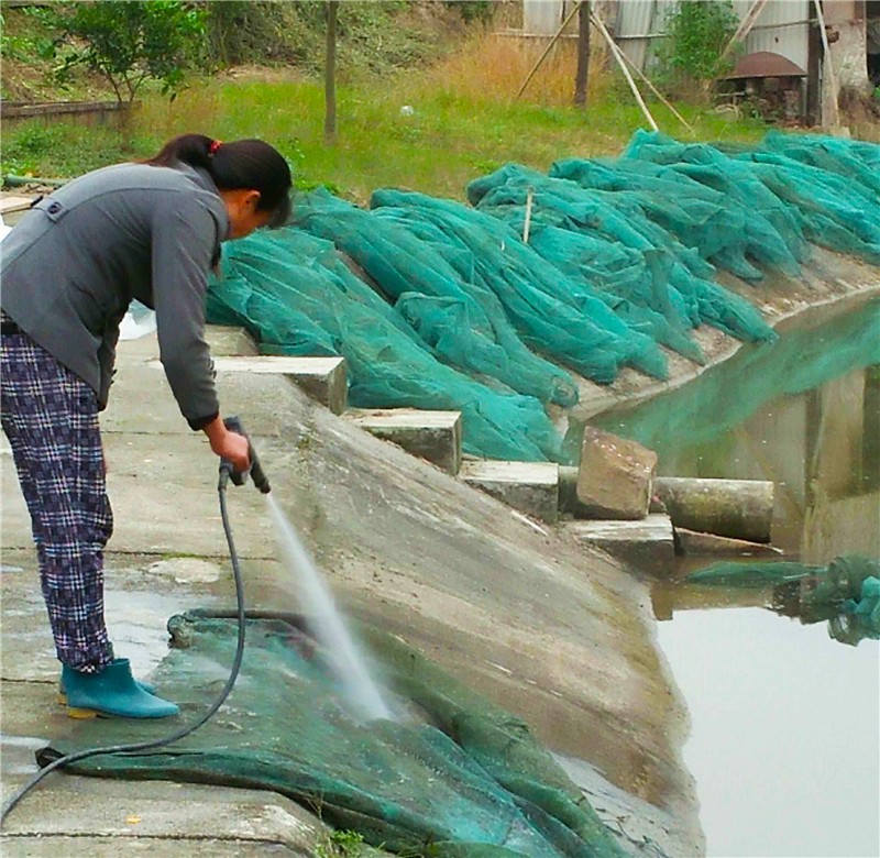 湖州泥鳅价格