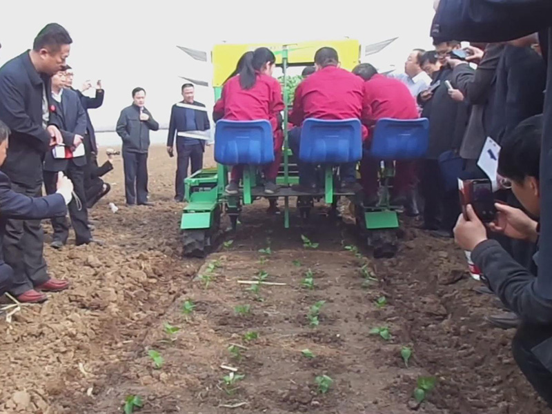 蔬菜移栽機