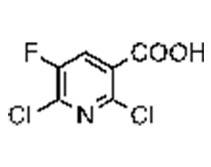 2,6-dichloro-5-fluoronicotinic acid