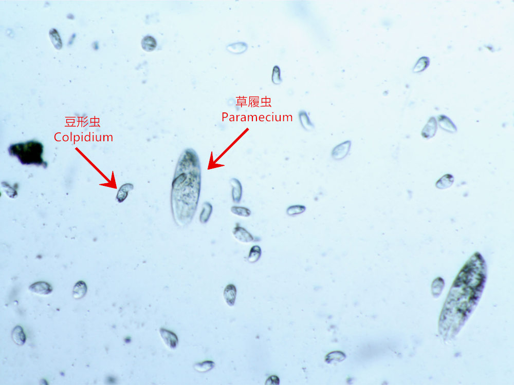 鲁奇炉废水处理案例