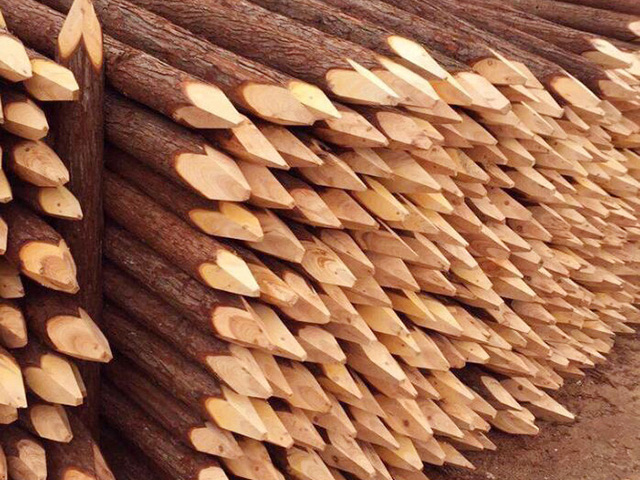 杉木桩处理脆弱地基适用条件