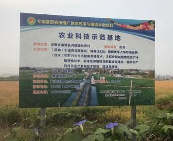 淮南水稻种植与生产力模型