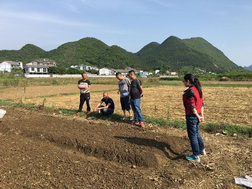 贵州兴义市万峰林花海项目