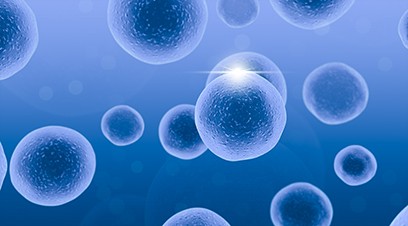 微生物細(xì)菌改變?nèi)梭w微環(huán)境，讓疾病趁虛而入