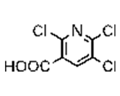 2,5,6-trichloronicotinic acid