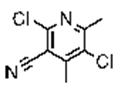 2,5-dichloro-4,6-dimethylnicotinonitrile