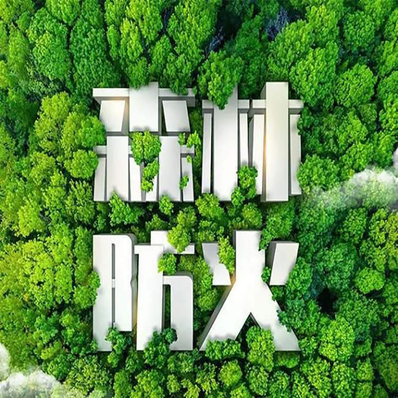 输电线路林区防火智能监控杆|禁止火种进入林区