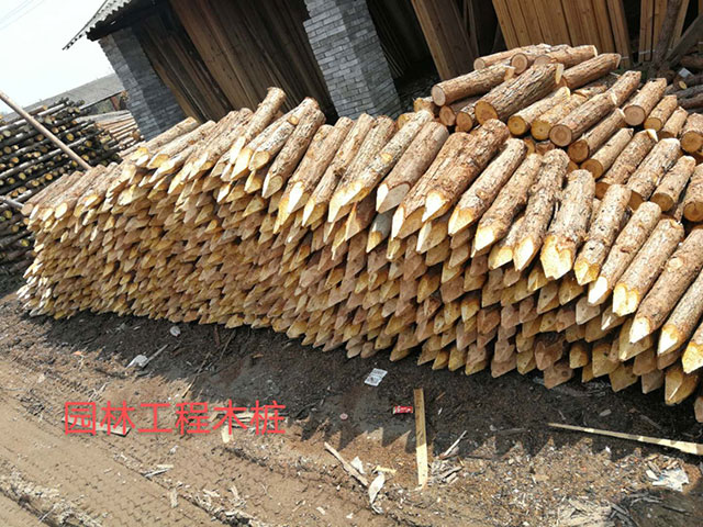 南京园林绿化桩价格