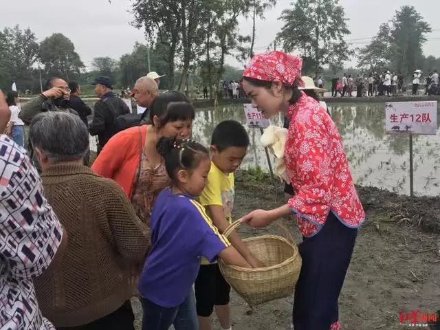 祭祀、插秧、唱山歌.....郫都重要农遗地民俗文化了解下
