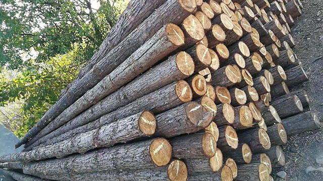 水利工程采用木桩地基有哪些好处 水利工程采用木桩地基有哪些好处