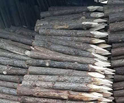 延长杉木桩使用寿命的主要手段