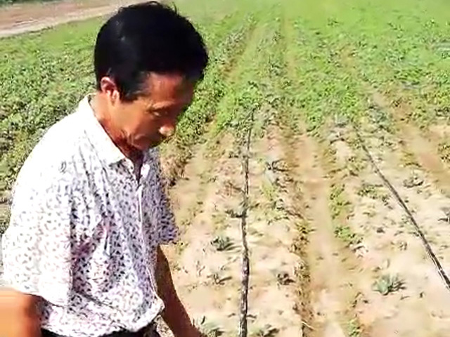 种植教授宣教授实地考察