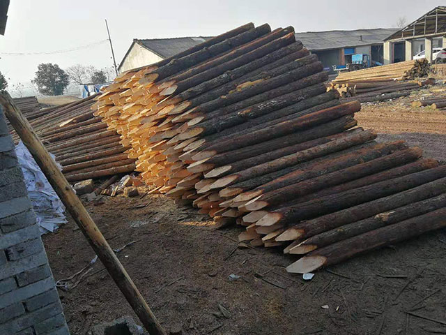 短木樁供應