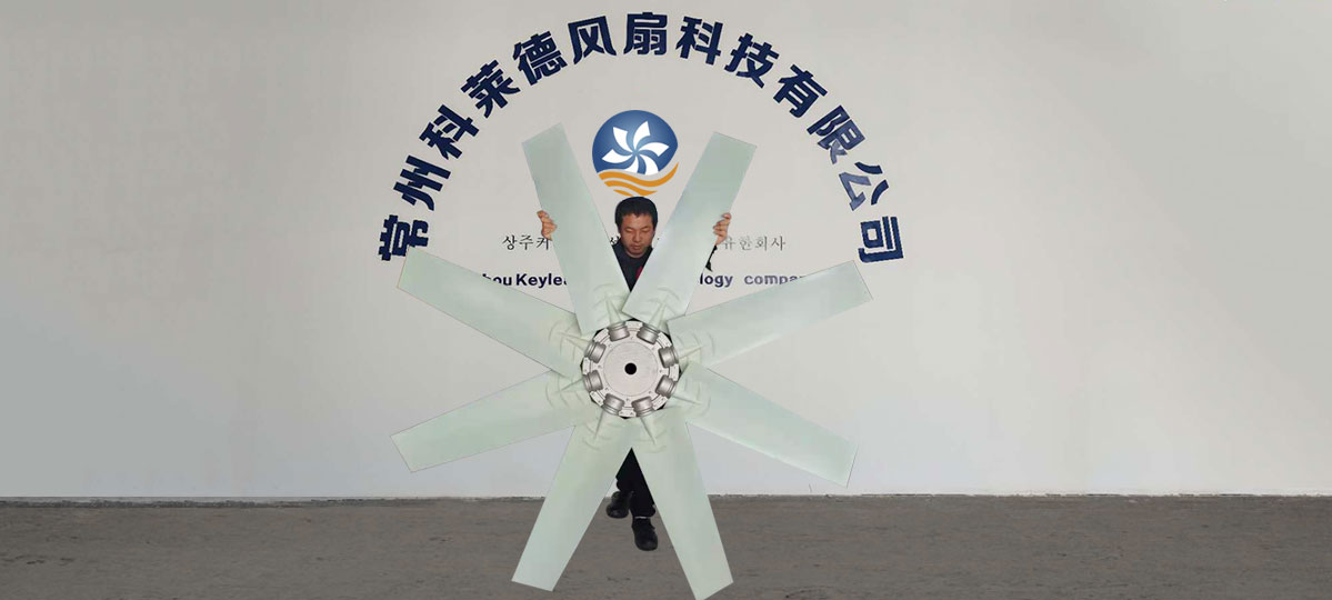 南京风机风叶型号-散热风扇材料-发电机风扇结构图