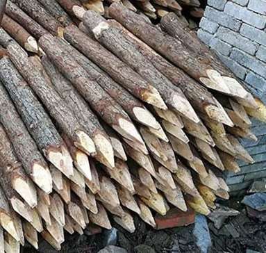 连云港河道松木桩对于河道环境的保护作用不可忽视