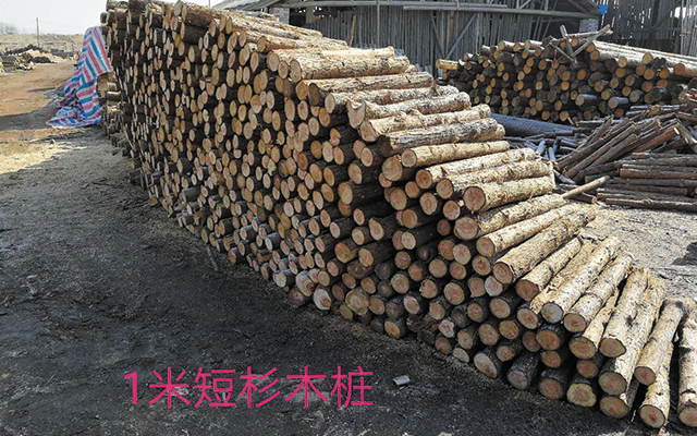 南京短木桩
