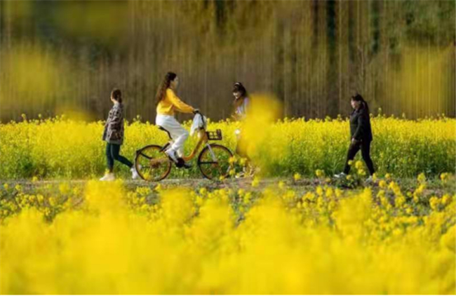 相约“花朝会”，邛崃春摄会等你来发布
