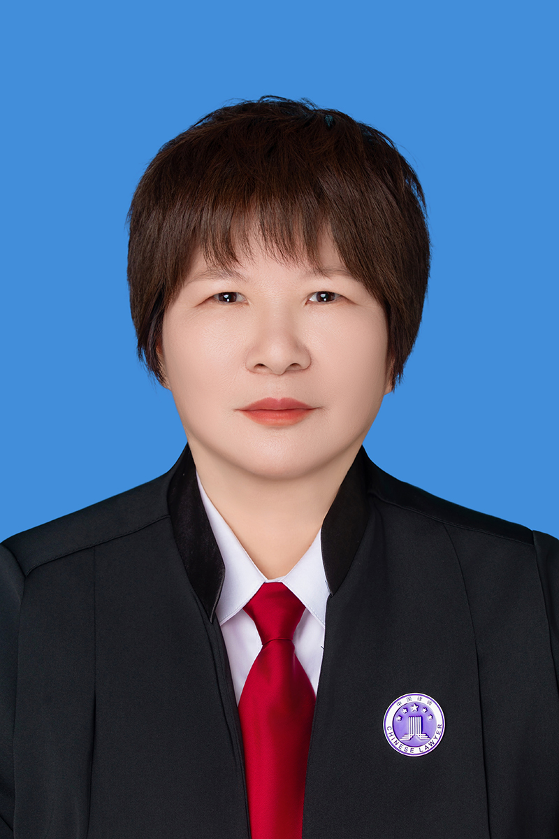 丁鸿鸣律师
