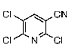 2,5,6-trichloronicotinonitrile