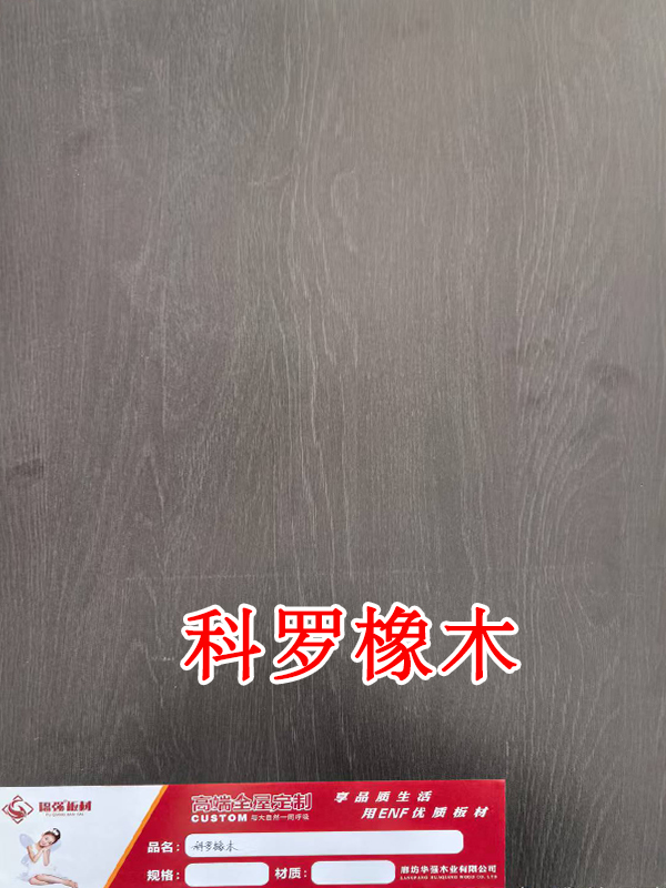 科罗橡木