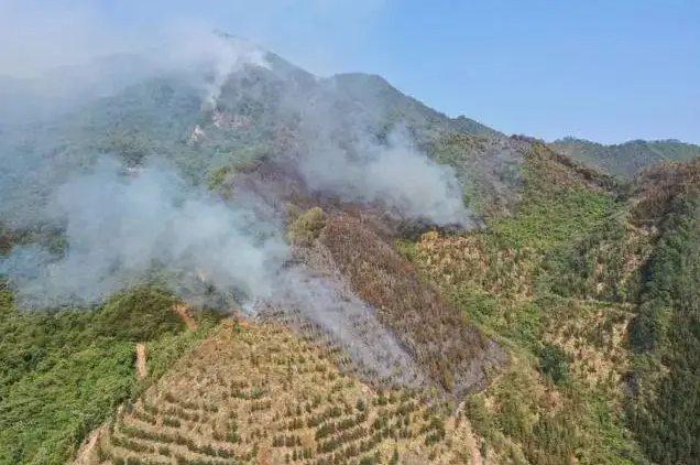 严防冬季山火，输电线路防山火监测装置24小时有效监控