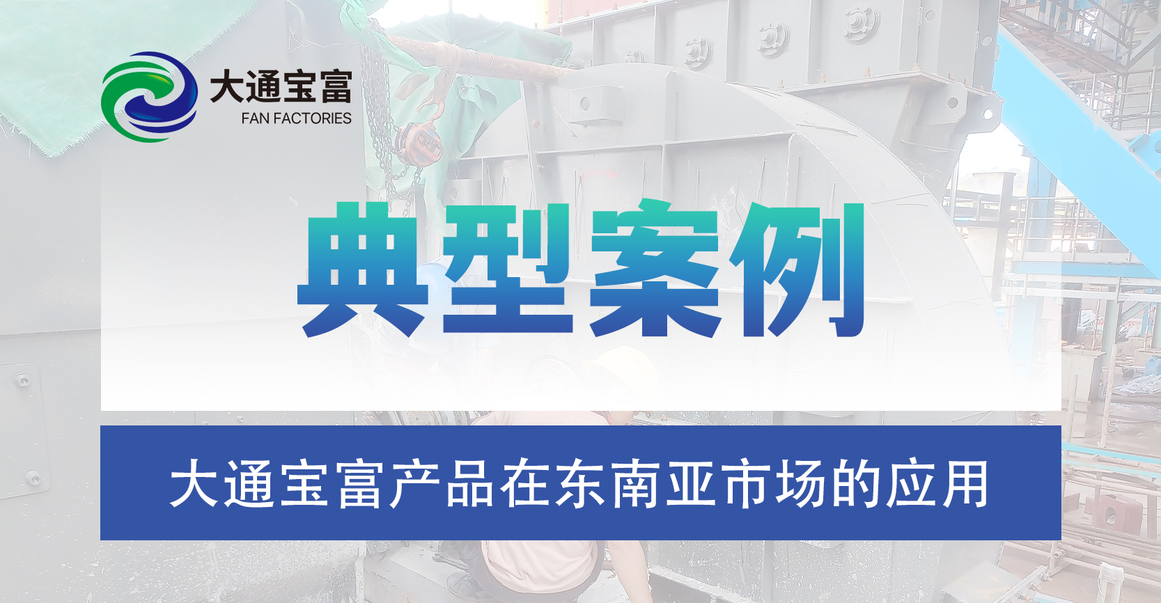 大通宝富：深耕东南亚市场，铸就专业典范