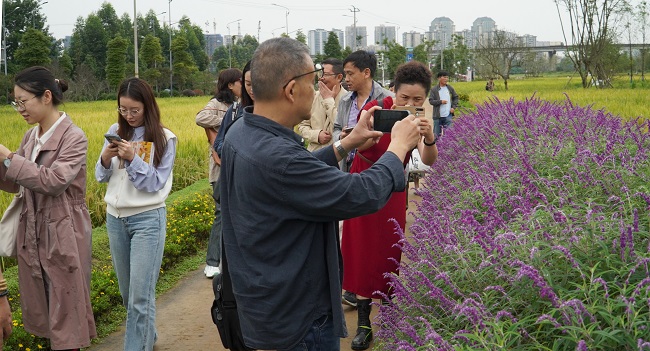 40多名诗人齐聚邛崃乡村，与丰收节对话