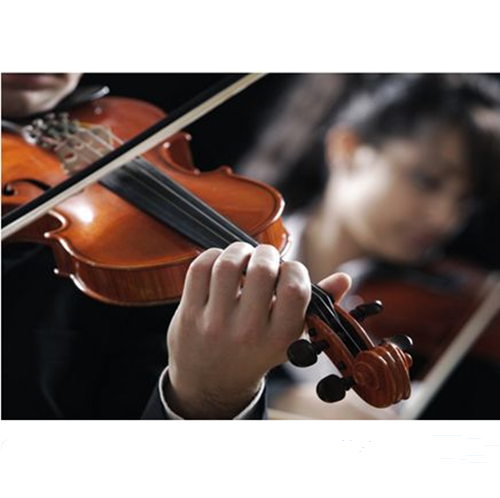 海口小提琴培训课程