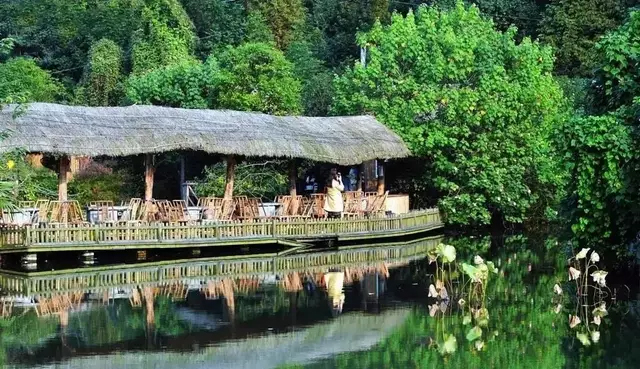 青城山下守望美丽乡村 谱写田园牧歌